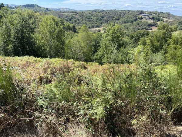 Terrain à vendre |  Beynat |  14560 m²