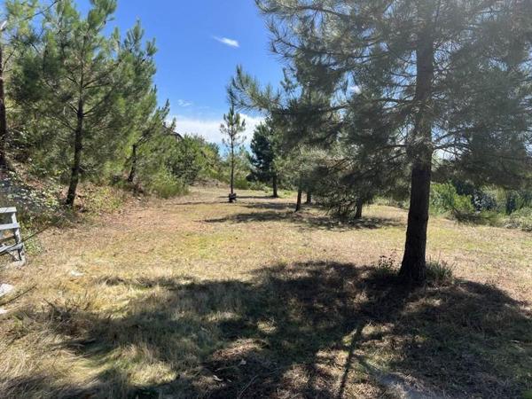 Terrain à vendre |  Beynat |  14560 m²