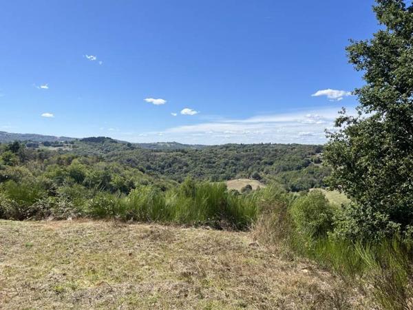 Terrain à vendre |  Beynat |  14560 m²