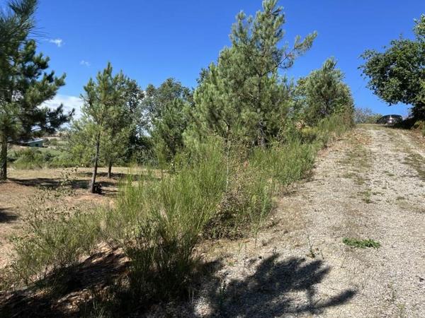 Terrain à vendre |  Beynat |  14560 m²