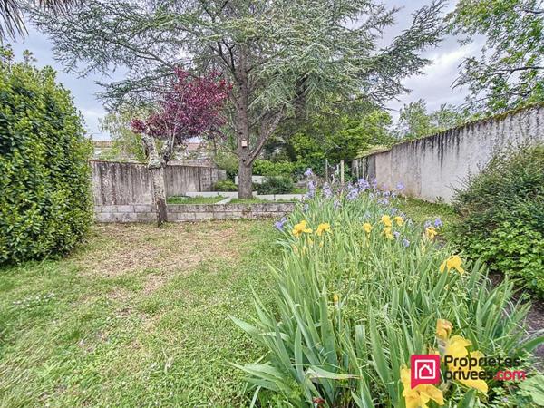 Quartier La Rochelle Prieuré-Lafond - Échoppe rochelaise à rénover sur Parcelle de 660m2 - Beau potentiel