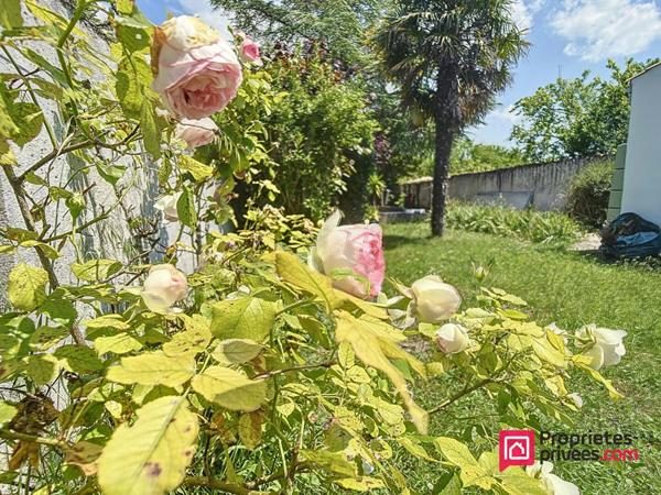 Quartier La Rochelle Prieuré-Lafond - Échoppe rochelaise à rénover sur Parcelle de 660m2 - Beau potentiel