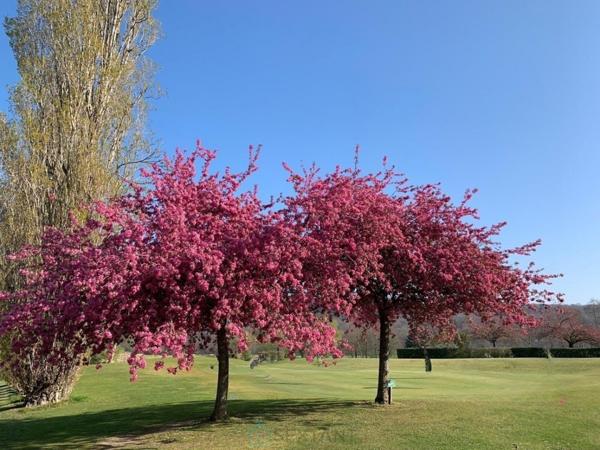 Propriété d'exception à 1h de Paris et à 30 mn de Fontainebleau ! Golf 18 trous - Restaurant...