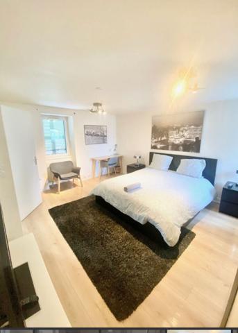 EXCLUSIVITE T1 BIS MEUBLE CENTRE VILLE , Brest