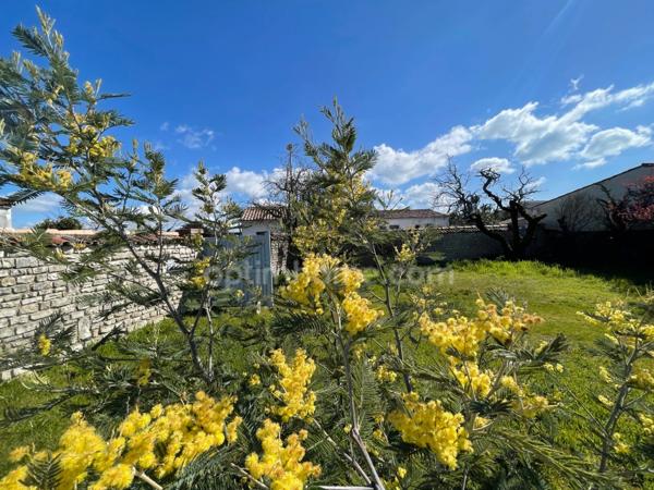 Maison en pierres de 4 chambres avec une dépendance, SAINTE MARIE DE RE - 17740