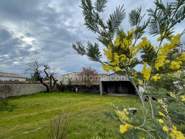 Maison en pierres de 4 chambres avec une dépendance, SAINTE MARIE DE RE - 17740