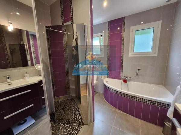 Vente Villa 9 pièces 240 m2 à Le Plessis-Trévise