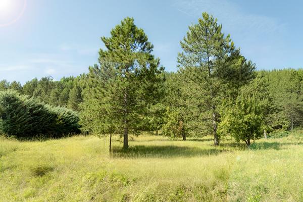 Terrain constructible Serres 5167 m2