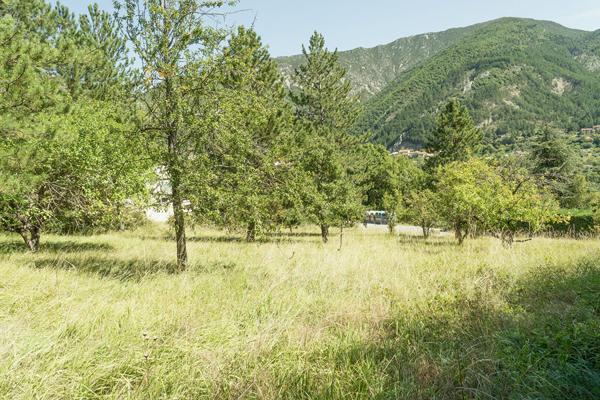Terrain constructible Serres 5167 m2