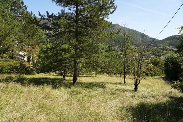Terrain constructible Serres 5167 m2