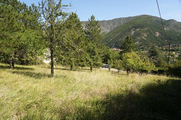 Terrain constructible Serres 5167 m2