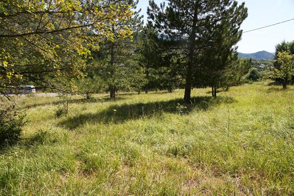 Terrain constructible Serres 5167 m2