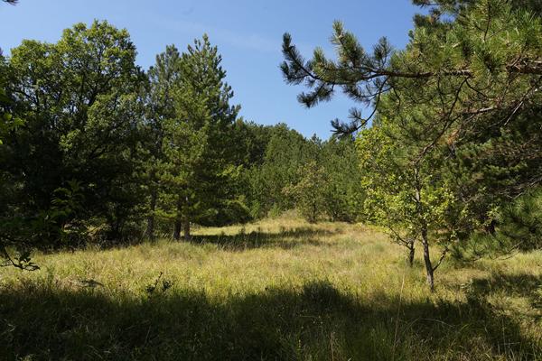 Terrain constructible Serres 5167 m2