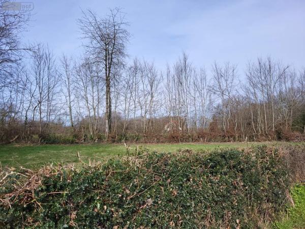 Terrain à Batir à vendre à Maison-Feyne en Creuse (23800), ref : 1182