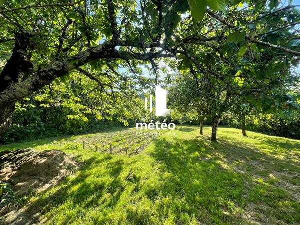 Maison Talmont Saint Hilaire 6 pièces 170 m2