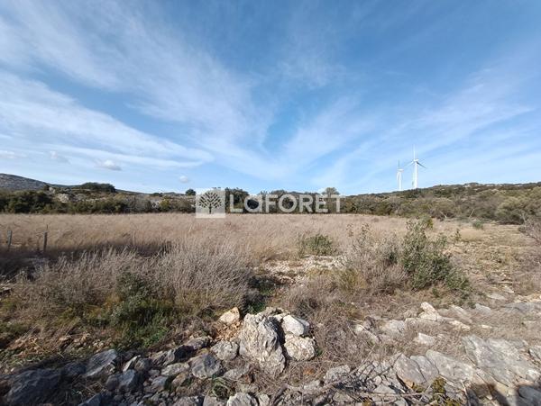 Achat terrain près de OPOUL PERILLOS - 27990 m² - 16 900 €