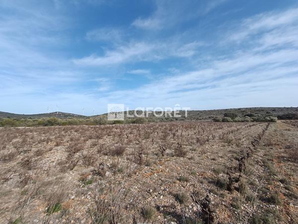 Achat terrain près de OPOUL PERILLOS - 27990 m² - 16 900 €