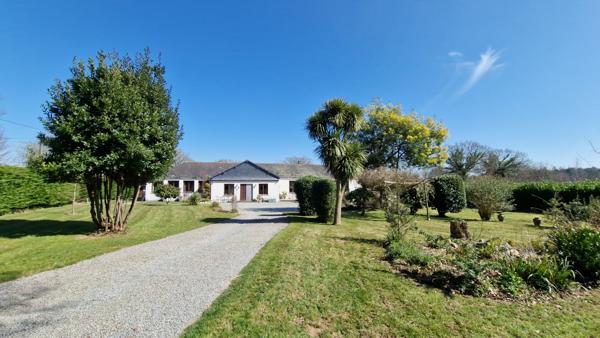 MORBIHAN Maison rénovée de plain-pied , 4 chambres, longue allée, beau jardin, sur terrain 10000 m2