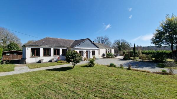 MORBIHAN Maison rénovée de plain-pied , 4 chambres, longue allée, beau jardin, sur terrain 10000 m2