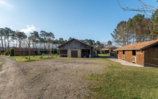 Maison à vendre    5 pièces •  Sanguinet