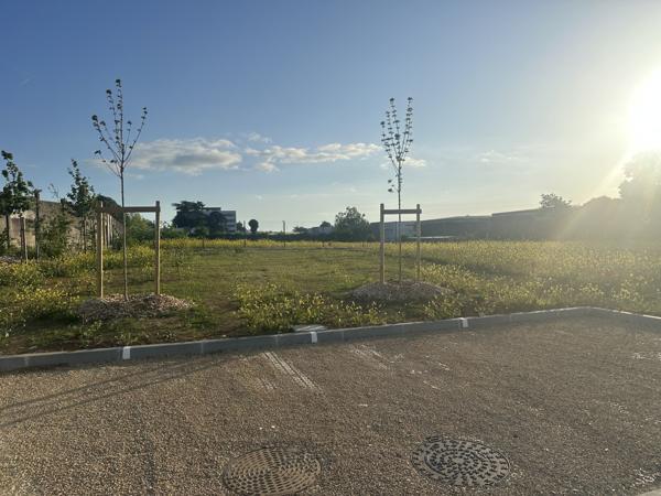 Terrain - POITIERS - Secteur du Porteau