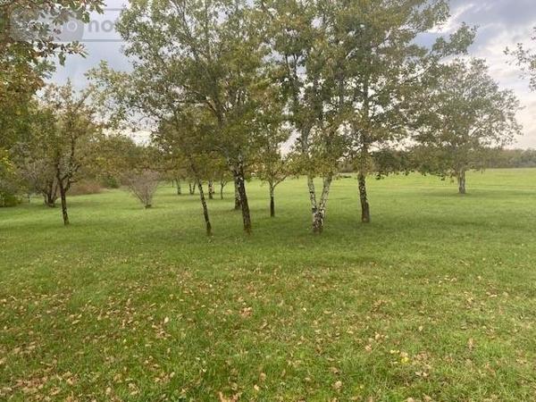 Terrain à Batir à vendre à Lalbenque dans le Lot (46230), ref : 009/1696