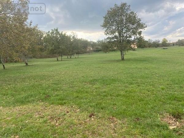 Terrain à Batir à vendre à Lalbenque dans le Lot (46230), ref : 009/1696