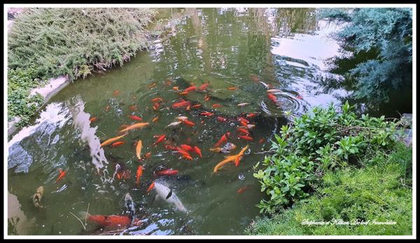 Maison à vendre 6 pièces LE GRAU D'AGDE (34)