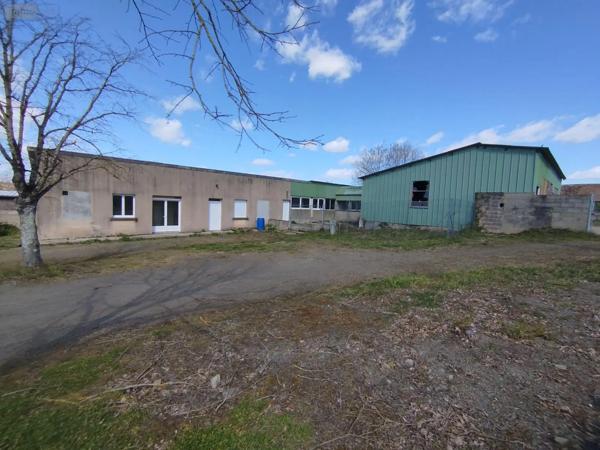 Achat - Fonds et/ou murs commerciaux | Entrepôt et bureaux Pruillé-le-Chétif 72700 5700 m 2