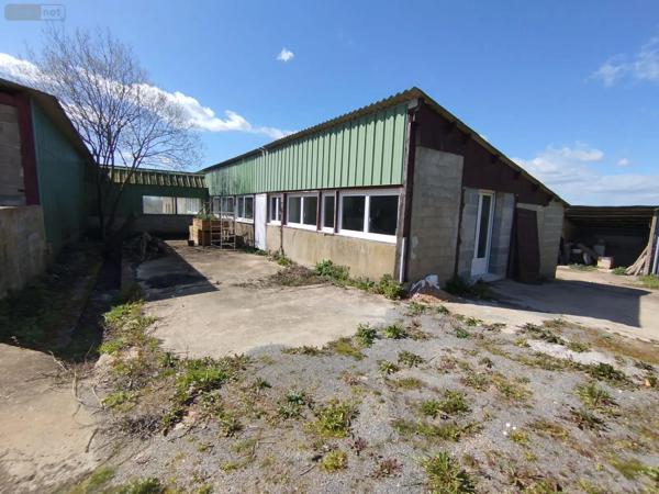 Achat - Fonds et/ou murs commerciaux | Entrepôt et bureaux Pruillé-le-Chétif 72700 5700 m 2