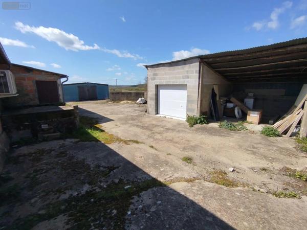 Achat - Fonds et/ou murs commerciaux | Entrepôt et bureaux Pruillé-le-Chétif 72700 5700 m 2