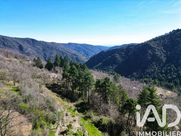 Maison à vendre 6 pièces 160 m² Malons-et-Elze