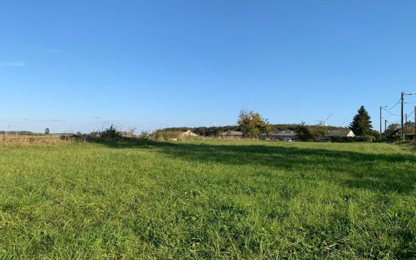 Terrain à vendre    Avricourt