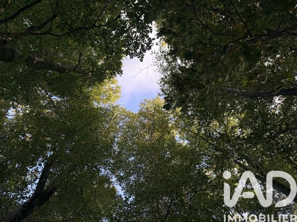 Terrain à vendre 40 158 m² Vire Normandie