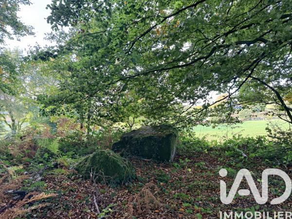 Terrain à vendre 40 158 m² Vire Normandie