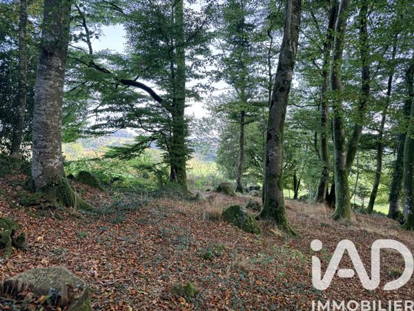 Terrain à vendre 40 158 m² Vire Normandie