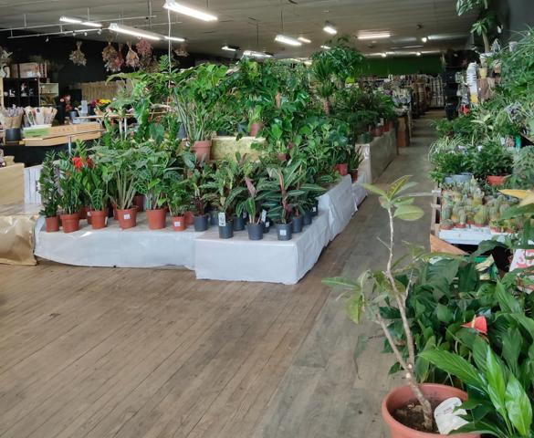 Jardinerie/ fleuriste