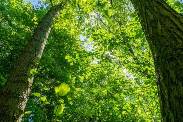 Terrain à vendre de 964,00 m² BOULT SUR SUIPPE (51)