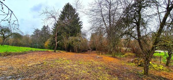 Maison 6 pièces avec grange et cave – Fort potentiel