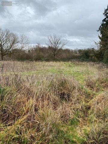 Maison à vendre à Martizay dans l'Indre (36220), ref : 1049866