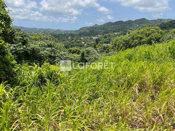 Achat terrain Le Lamentin - 1100 m² - 152 700 €