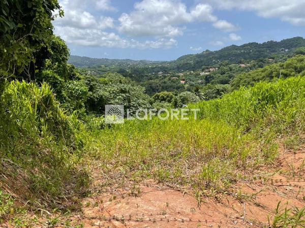 Achat terrain Le Lamentin - 1100 m² - 152 700 €