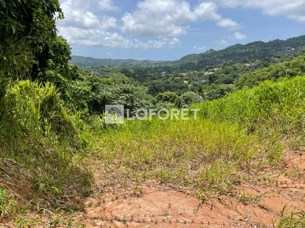 Achat terrain Le Lamentin - 1100 m² - 152 700 €