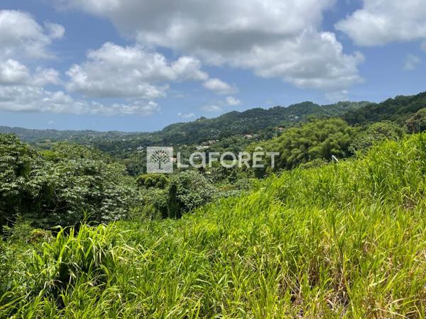 Achat terrain Le Lamentin - 1100 m² - 152 700 €