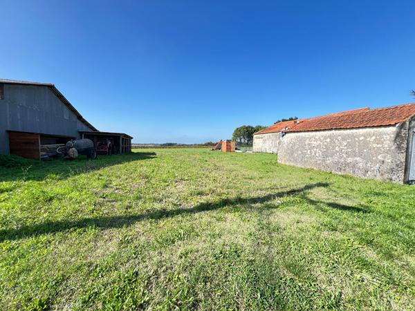 Terrain Arvert 665 m2 | LA TREMBLADE IMMO