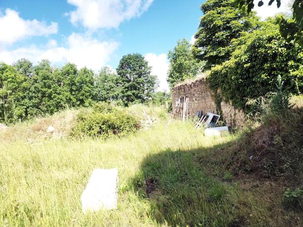 Terrain fruitier proche du château Roger