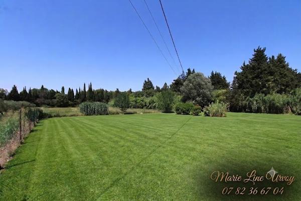 13210 St-Rémy - Mas en pierre 145 m² + gîte 70 m² - Piscine 8X4 - grand terrain