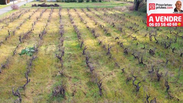 Terrain plein sud à  Sainte Cécile Les Vignes