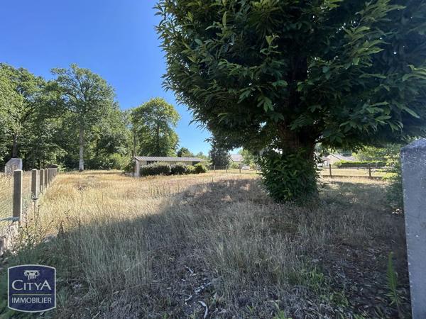 Terrain à vendre Candé-sur-Beuvron (41120)