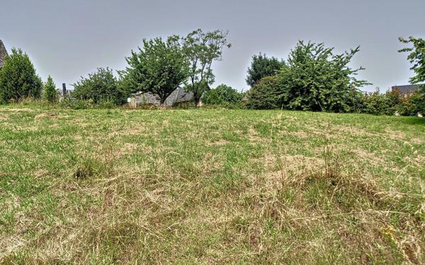 Terrain à vendre    Donzenac